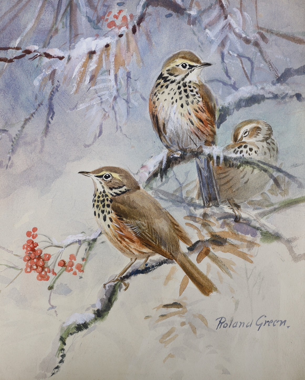 Roland Green (1890-1972), four watercolours, garden birds, signed, unframed, largest 28 x 23cm